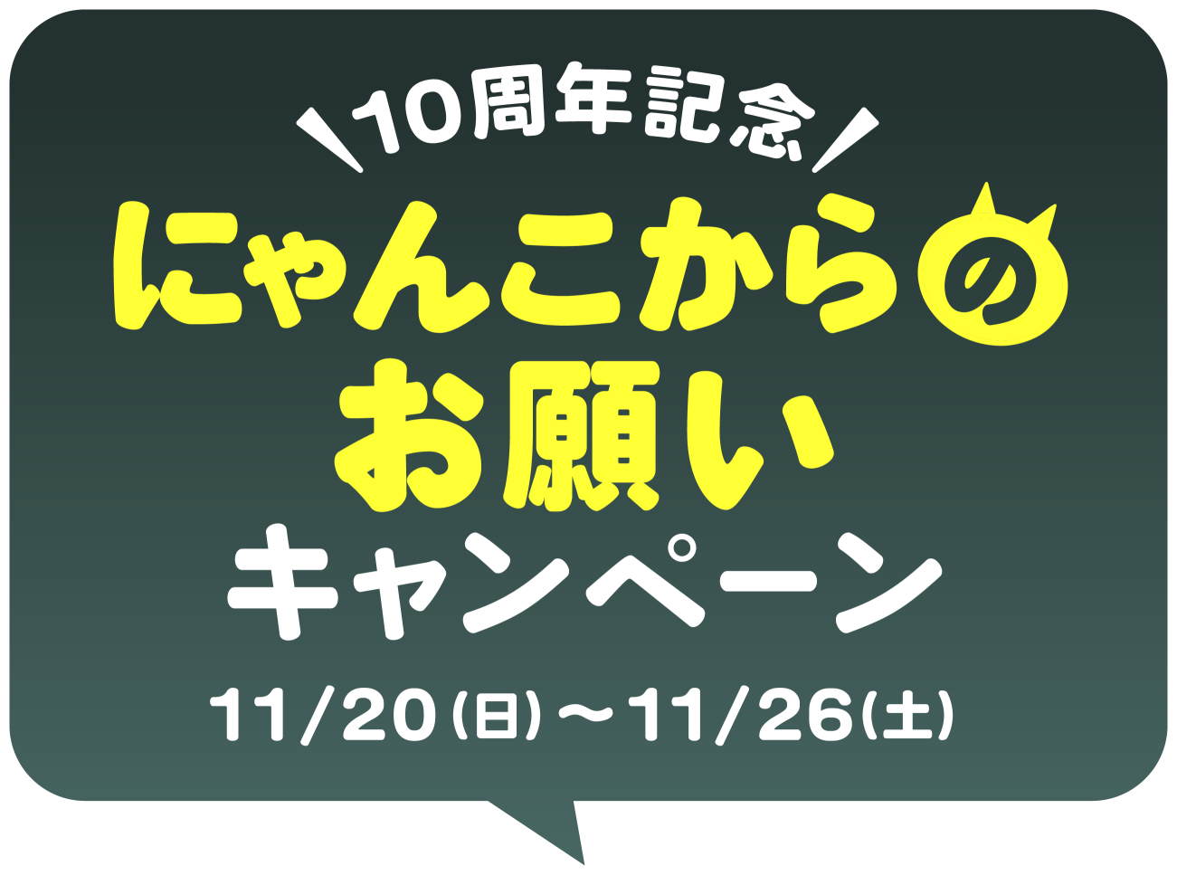 10周年記念 にゃんこからのお願いキャンペーン 11/20(日)～1/28(土)