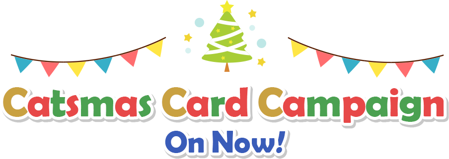 Catsmas Card Campaign On Now!