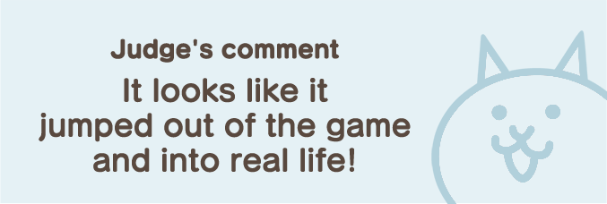 staff_comment