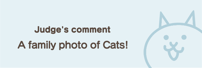 staff_comment