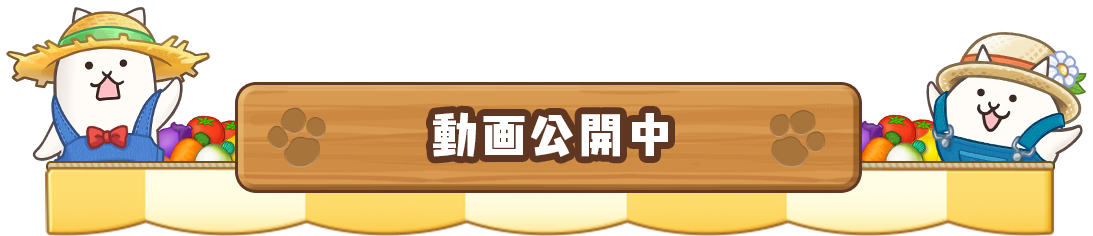 動画公開中