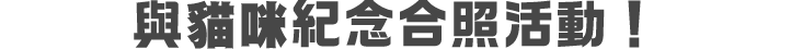 與貓咪見面互動時間