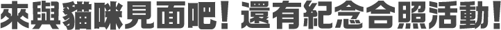來與貓咪見面吧！還有紀念合照活動！